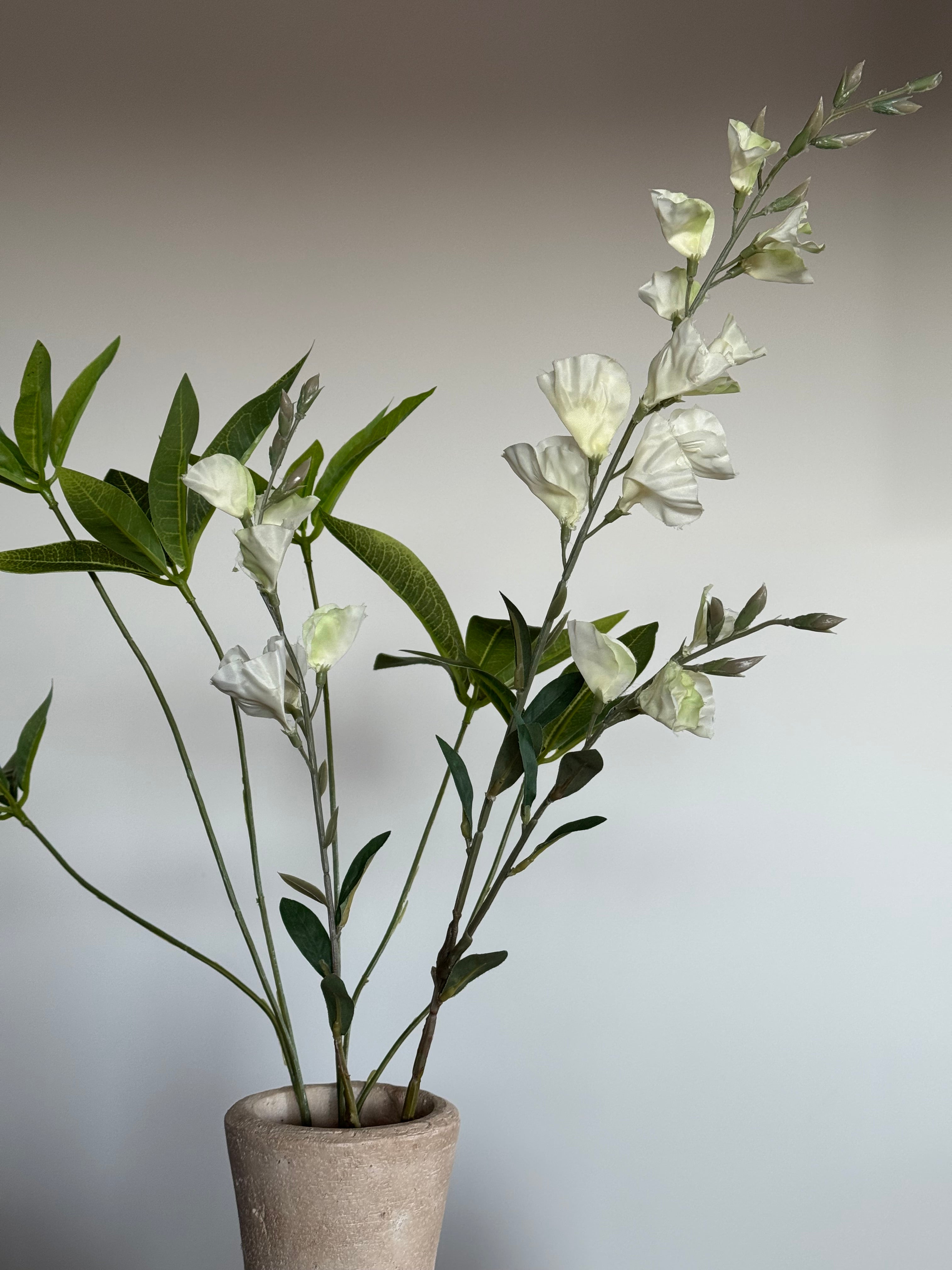 japandi set groot met 2 potten close up tak